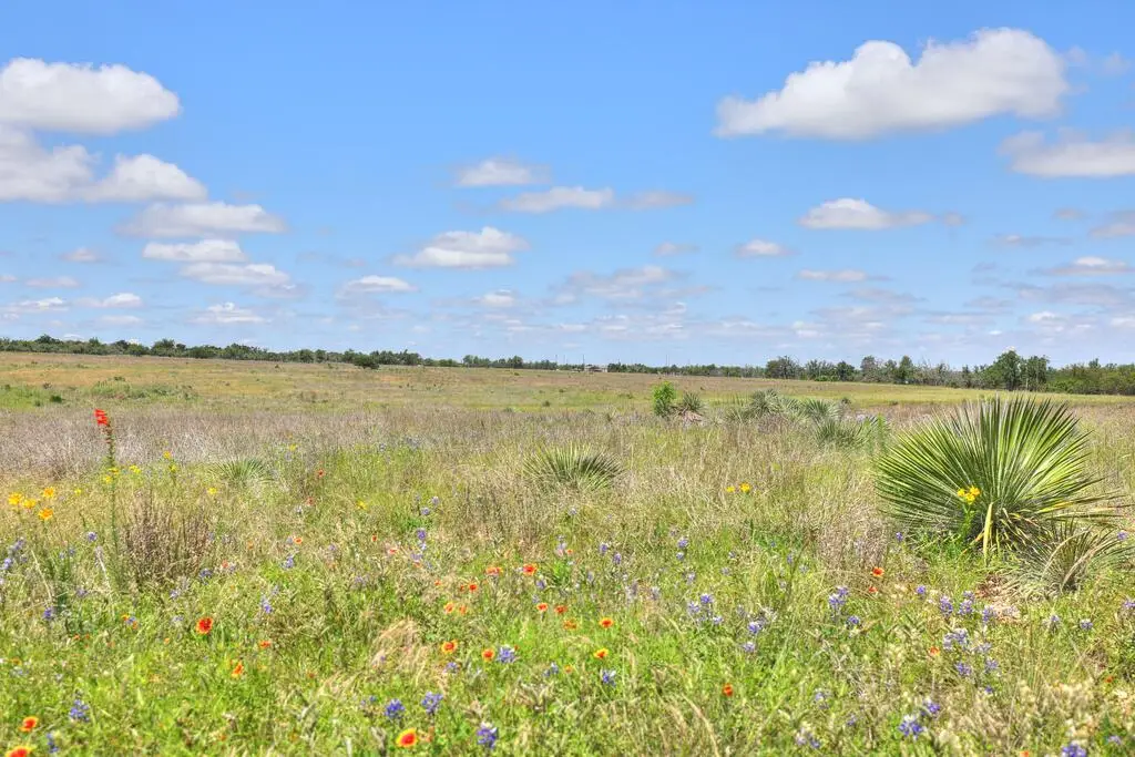 2544 -5 Reservation Rd, Harper, TX 78631 - #1