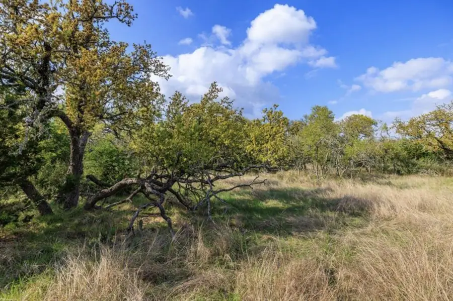 7 Duderstadt Rd, Harper, TX 78631 - #2