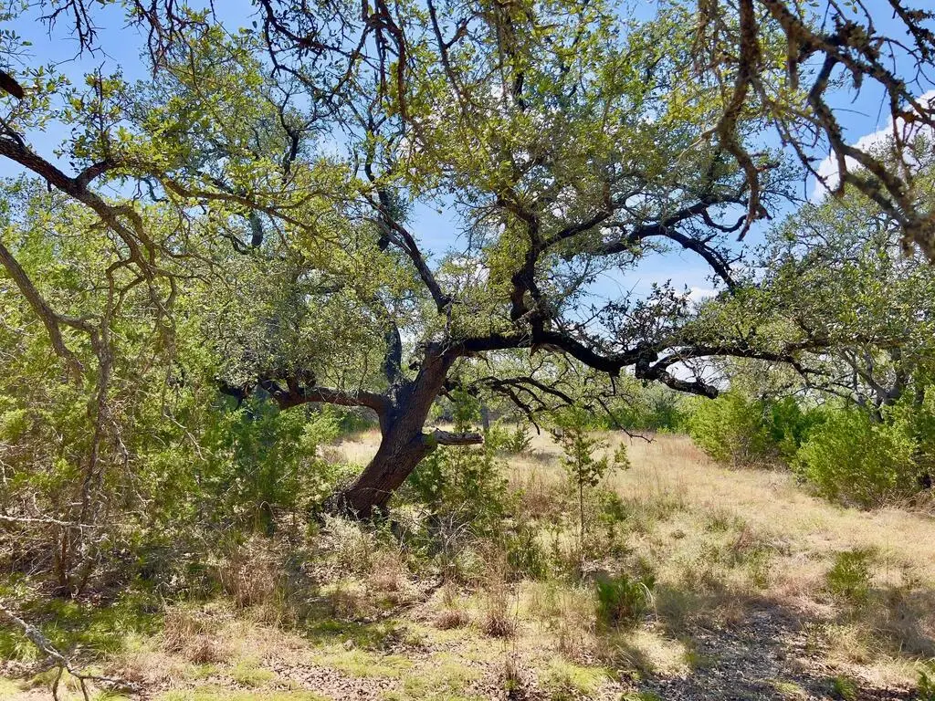 992 Other, Blanco, TX 78606 - #1