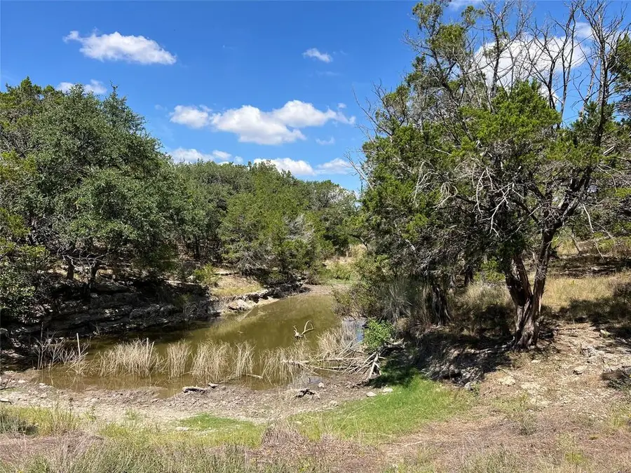 992 Other, Blanco, TX 78606 - #3