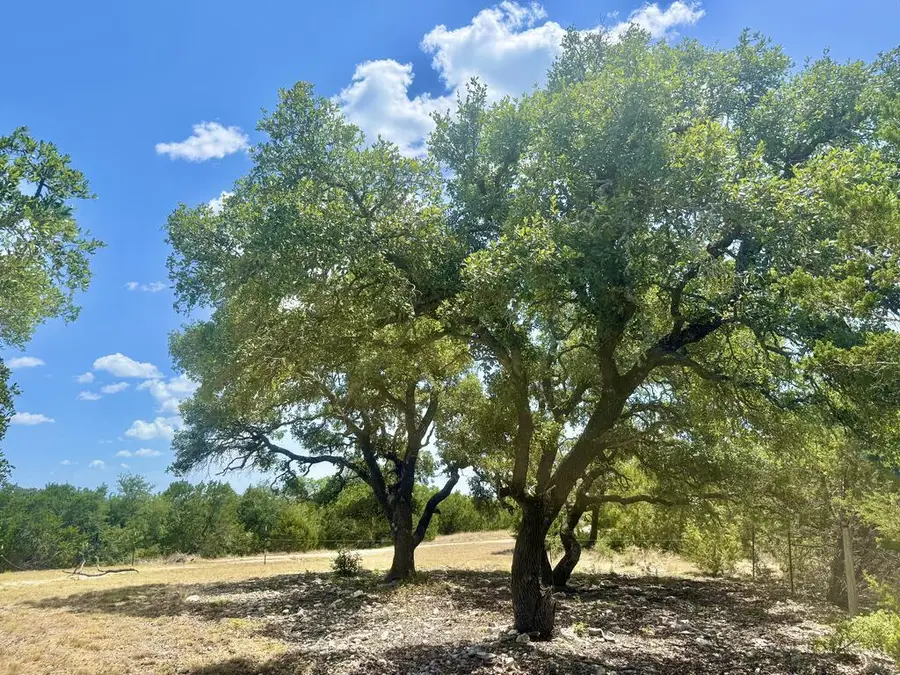 328 Colt Valley Rd, Fredericksburg, TX 78624 - #2