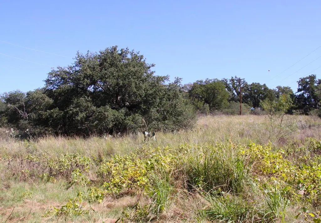 N/A SE Meyer St, Mason, TX 76856 - Image #1