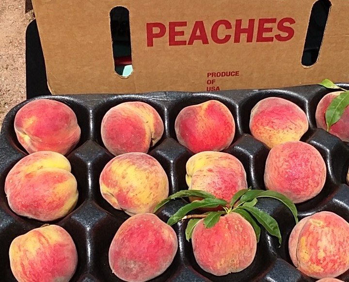 15371 E Us Hwy 290, Stonewall, TX 78671 - Image #2