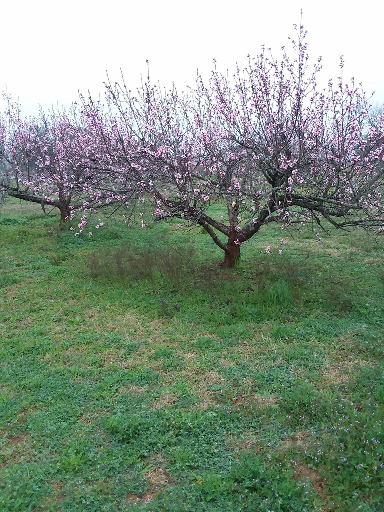 15371 E Us Hwy 290, Stonewall, TX 78671 - Image #3