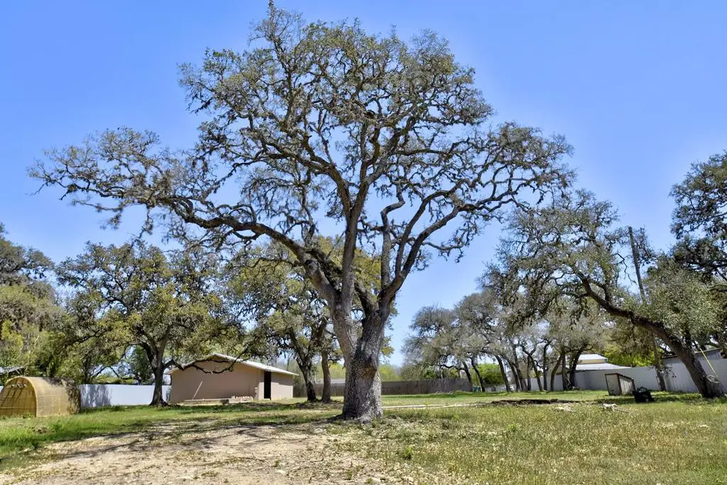 505 Mesquite St NW Mesquite St, Blanco, TX 78606 - Image #1