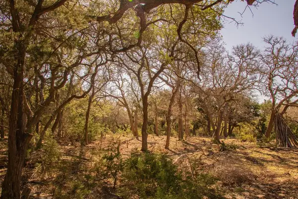 172 Rock Wall, Blanco, TX 78606