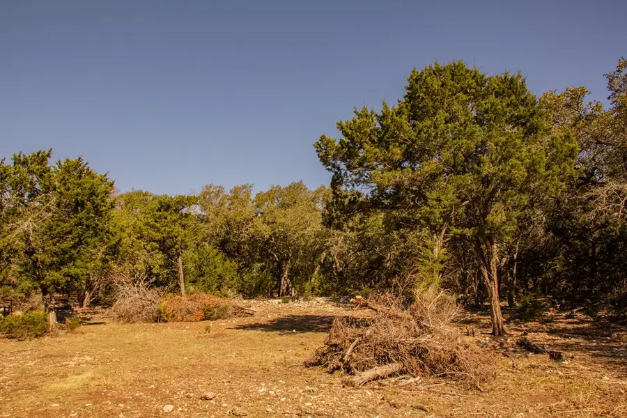 172 Rock Wall, Blanco, TX 78606 - #2