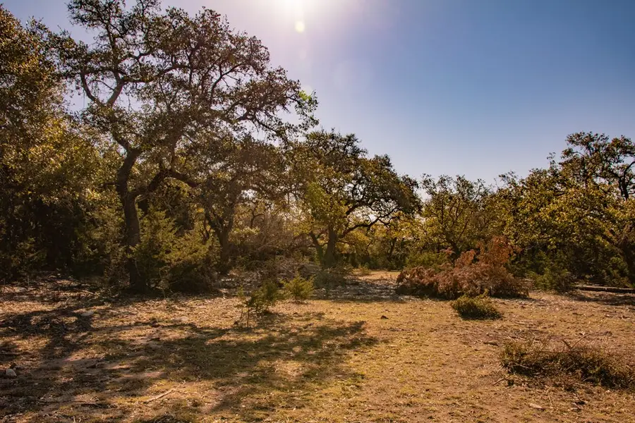 176 Rock Wall, Blanco, TX 78606 - #2