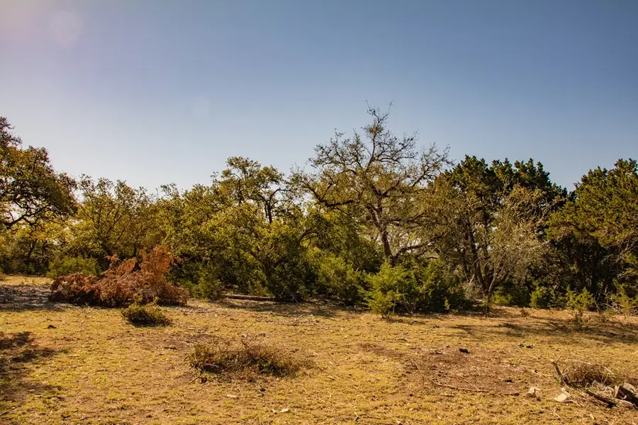 176 Rock Wall, Blanco, TX 78606 - #3