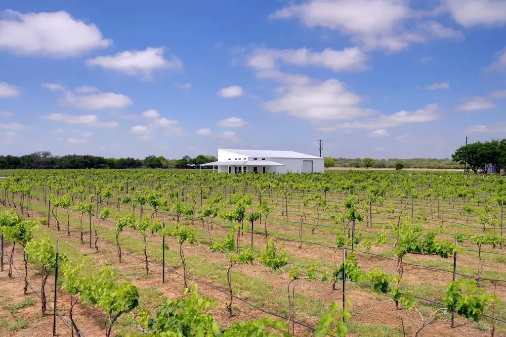 11157 W Us Hwy 290, Hye, TX 78635 - Image #1