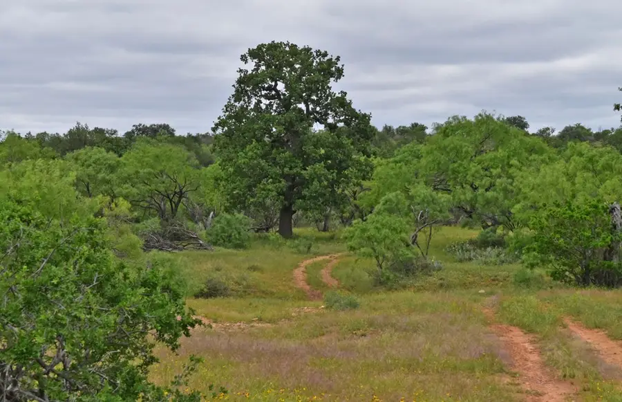 - Keyserville Rd, Mason, TX 76856 - Image #3