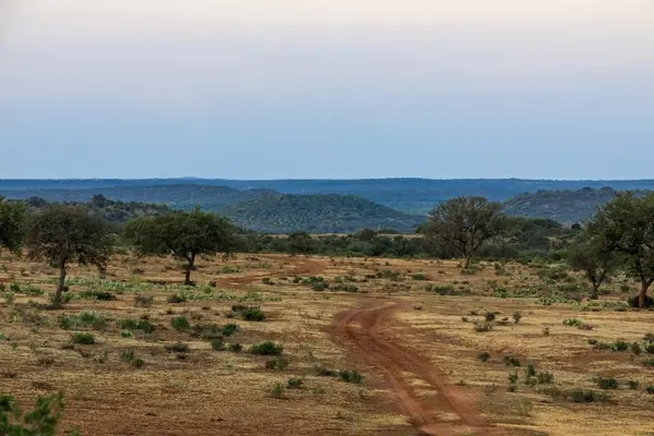 6789 Grossville School Road, Mason, TX 76856