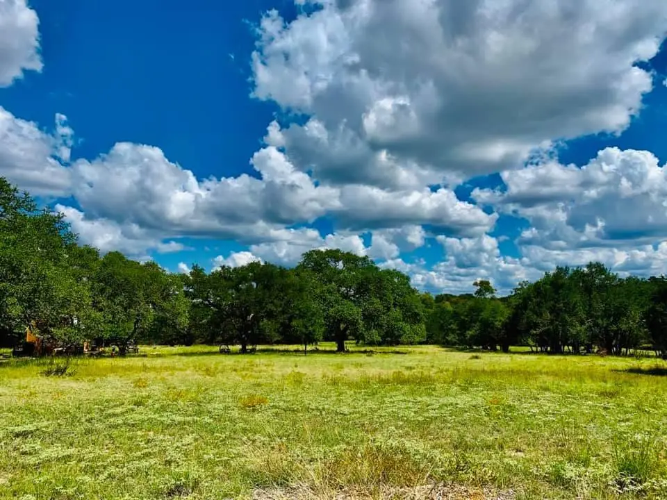 114 S Vaquero Dr, Blanco, TX 78606 - Image #1