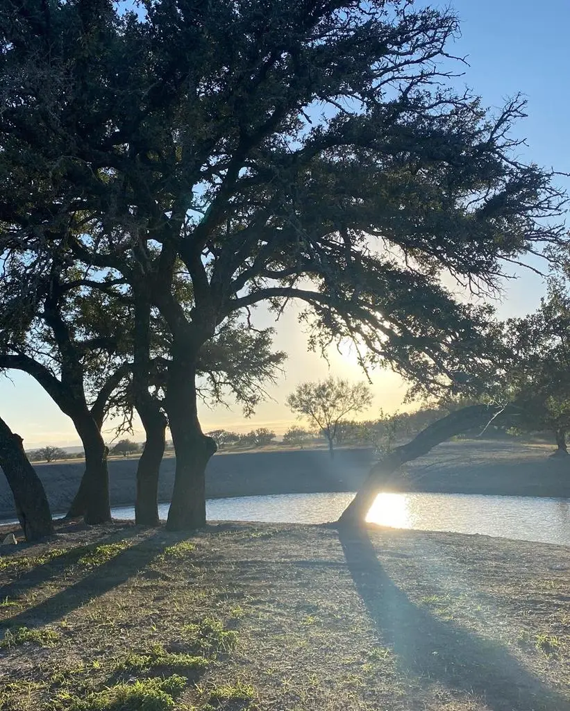 1999 Jacoby Road, Mason, TX 76856 - Image #1