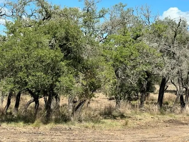 140 Outland Dr., Harper, TX 78631 - Image #3