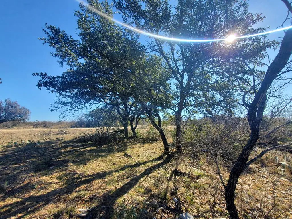 5552 Mesquite Springs Loop, Menard, TX 76859 - Image #1