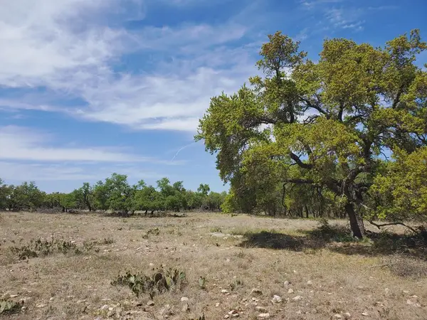 Tract 12 Cave Wells Rd, Menard, TX 76841