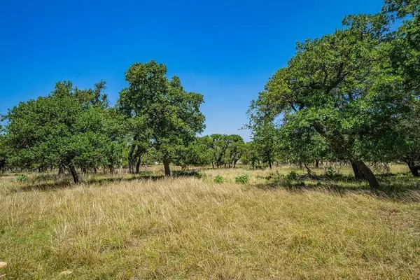 115 Fern Ridge Ct, Fredericksburg, TX 78624