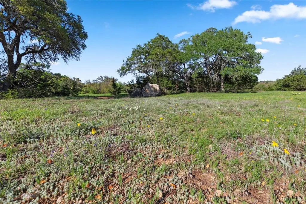 327 S Calvin Barrett, Blanco, TX 78606 - #1