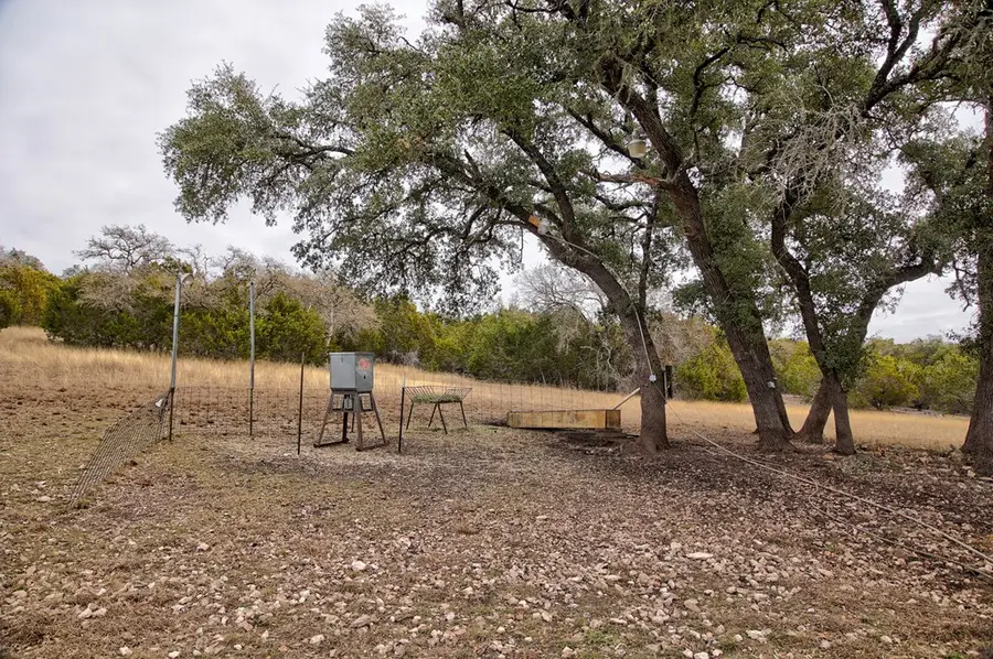180 Bee Hive Rd, Hunt, TX 78024 - Image #2