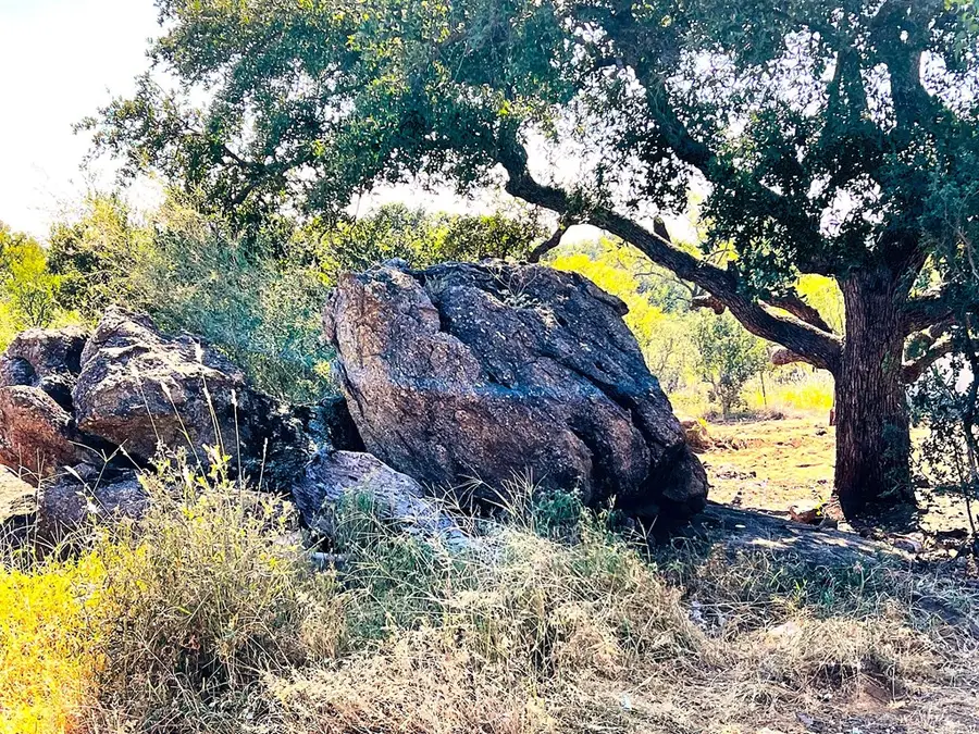 209 S River Park Dr, Llano, TX 78643 - Image #3