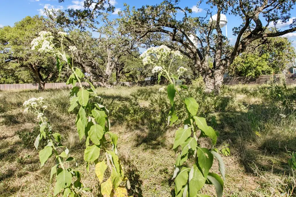 Address Withheld By Seller, Blanco, TX 78606 - #1