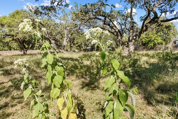 Address Withheld By Seller, Blanco, TX 78606