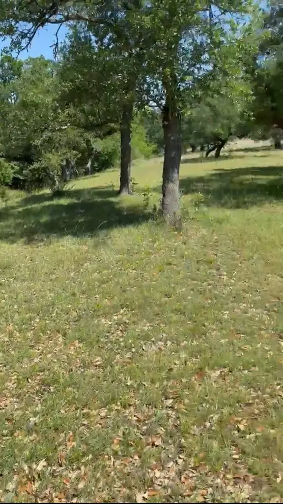 #3