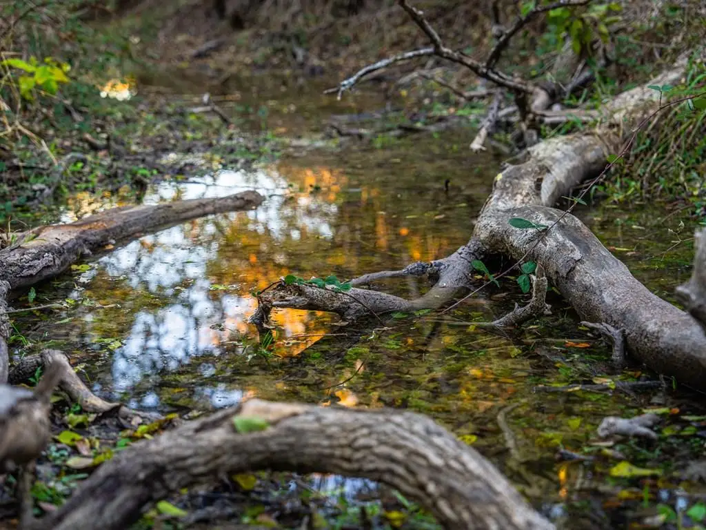 326 N Lehne Lane, Fredericksburg, TX 78624 - #1