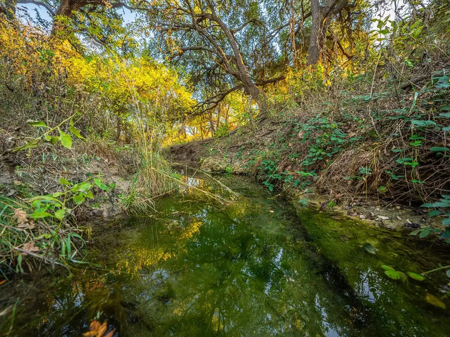 326 N Lehne Lane, Fredericksburg, TX 78624 - #3