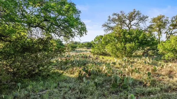 Lot 4 Vista Ridge Dr, Round Mountain, TX 78663