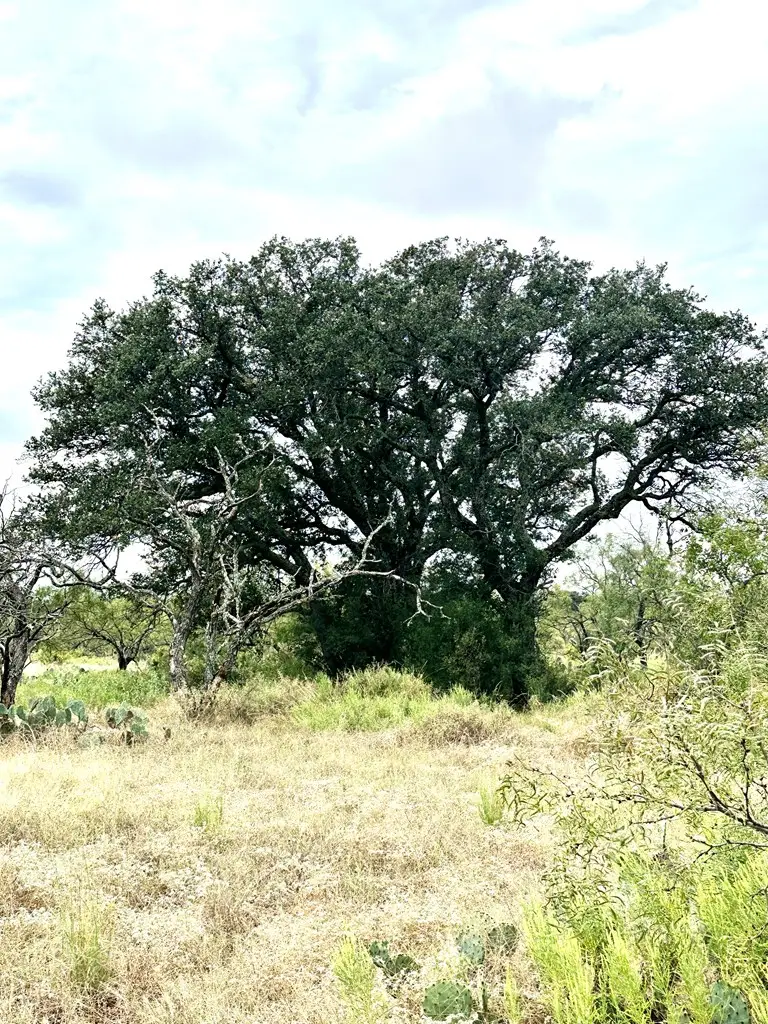 Lot 2 phase 1 Kothman Rd, Art, TX 76856 - Image #3