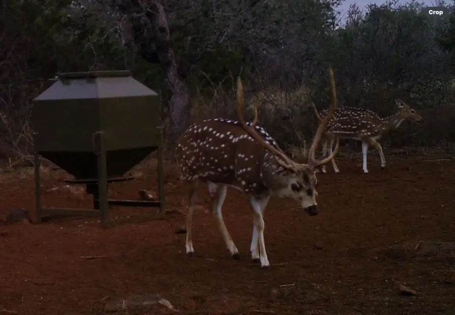 212 Summer Hill Dr, Johnson City, TX 78636 - Image #2