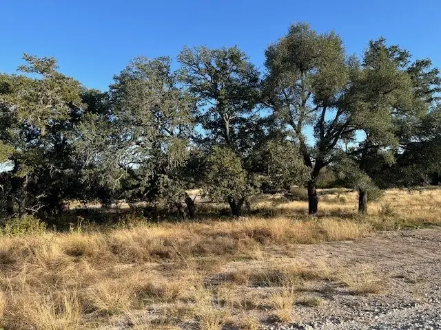 Tract 8 Rare Eagle Dr, Fredericksburg, TX 78624 - Image #3