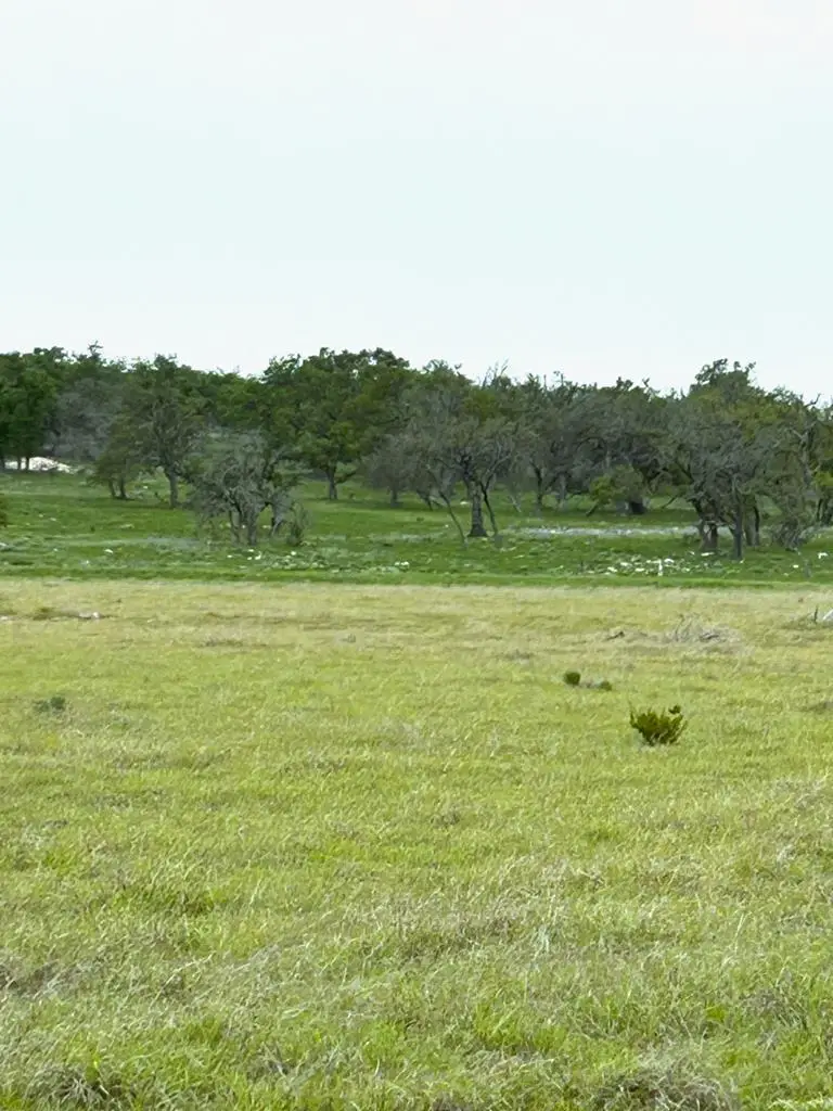 0 S Ranch Rd 783, Harper, TX 78631 - Image #2
