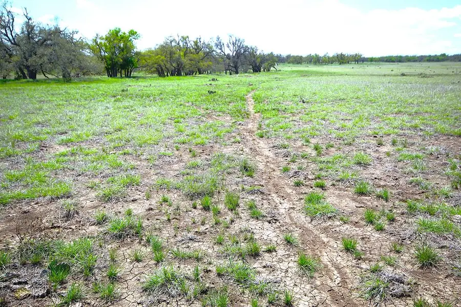 2972 S Ranch Rd 783, Harper, TX 78631 - Image #3