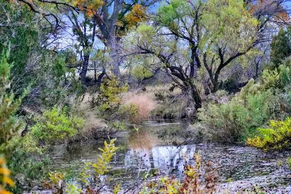 16033 Door Key Rd, Christoval, TX 76935