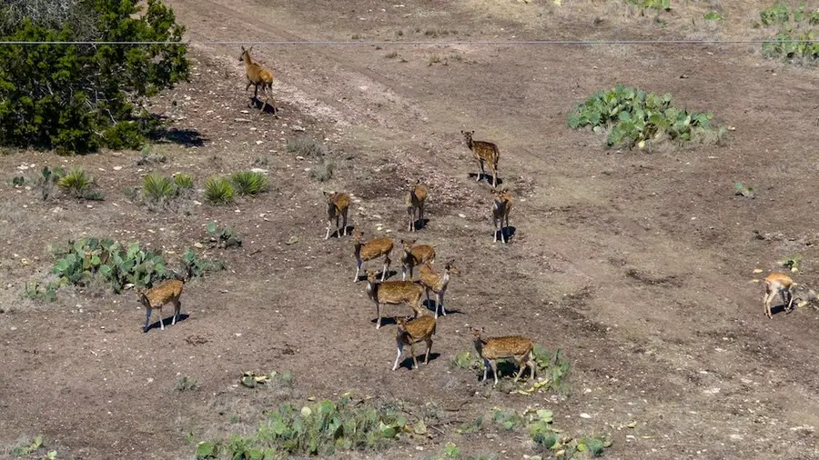 00 Hwy 377, Rocksprings, TX 78880 - Image #2