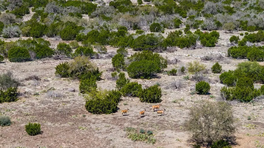 00 Hwy 41, Rocksprings, TX 78880 - Image #3