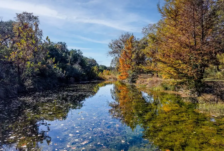 197 Little River Lane, Blanco, TX 78606 - Image #2