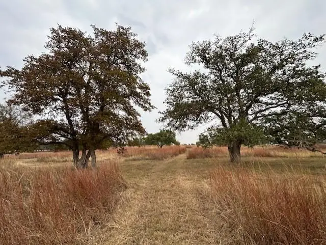 TBD Axis Circle, Fredericksburg, TX 78624 - Image #1