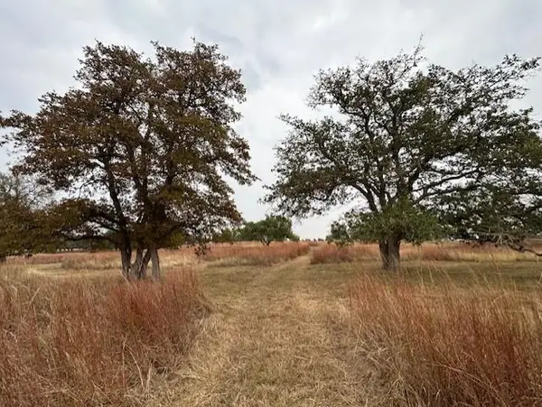 TBD Axis Circle, Fredericksburg, TX 78624