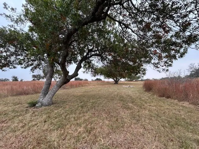 TBD Axis Circle, Fredericksburg, TX 78624 - Image #3