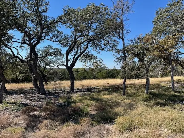 Tract 16 Rare Eagle Dr, Fredericksburg, TX 78624 - Image #3
