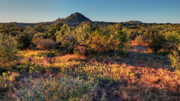 18248 Bode Peak Rd, Mason, TX 76869