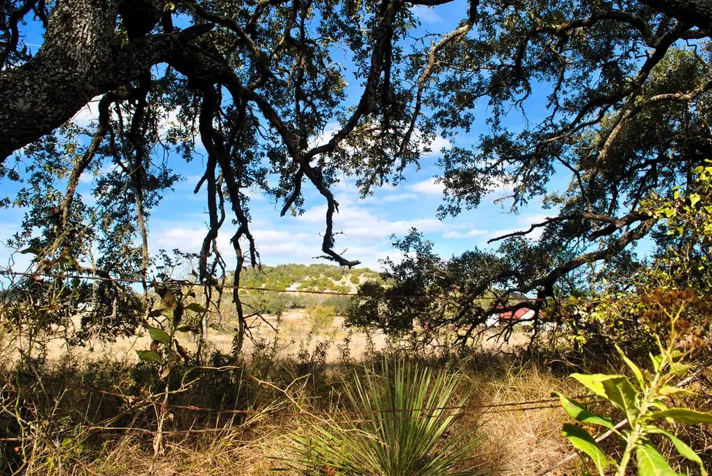 000 W Live Oak Rd, Fredericksburg, TX 78624 - Image #1