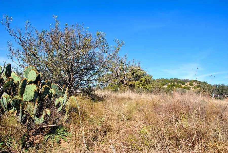 000 W Live Oak Rd, Fredericksburg, TX 78624 - Image #3