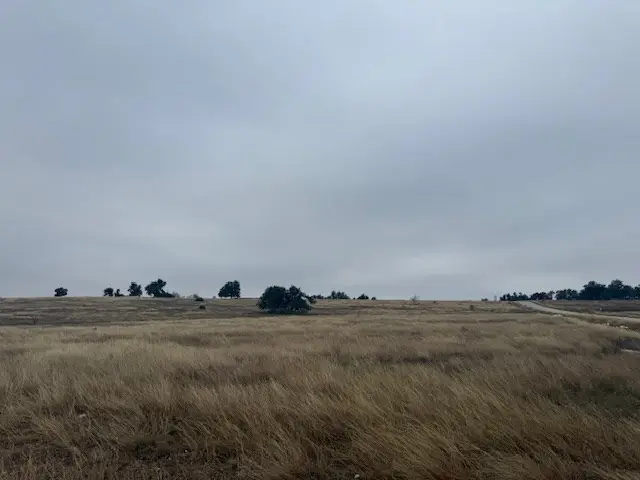 Lot 25 Reeh Rd, Fredericksburg, TX 78624 - Image #3