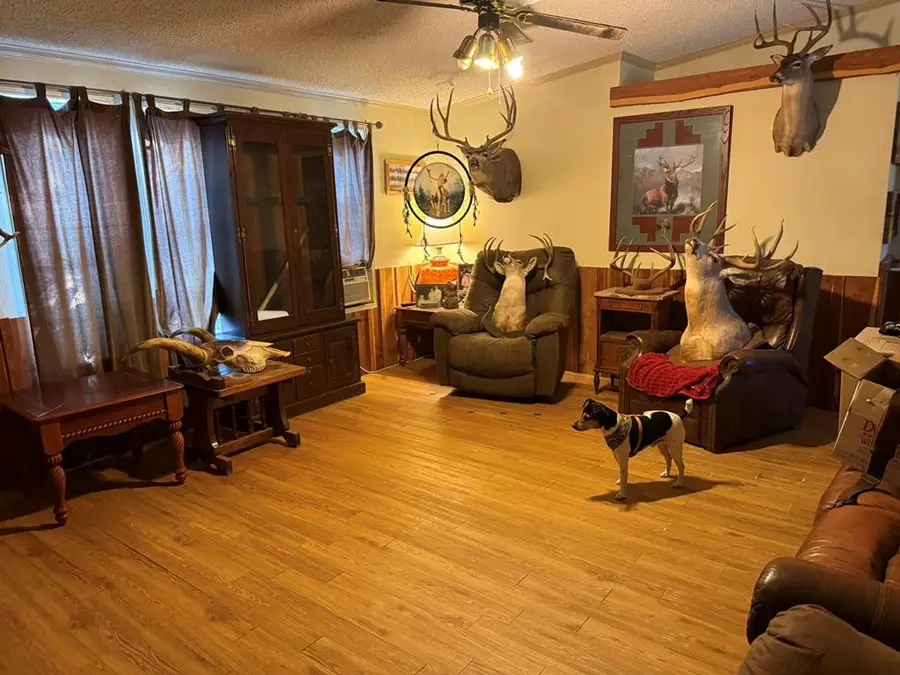 632 Academy St B, Blanco, TX 78606 - Image #3