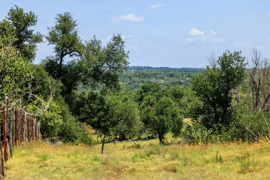 2656 Meier Rd, Fredericksburg, TX 78624 - Image #3